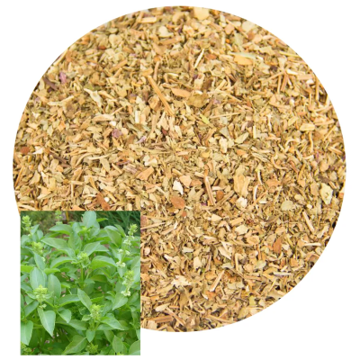 Ideal for your rituals and magical works, Basil attracts luck and prosperity