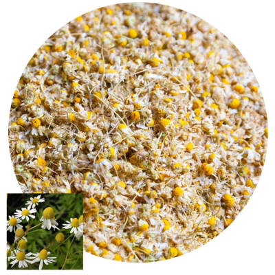 Camomile will bring: Sleep - Protection - Inspiration - Healing - Strength - Strength - Chance