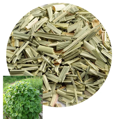 Herbs for burning as incense, use in natural and ritual magic