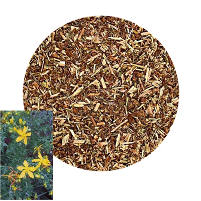 St. John's Wort channels purity and strength, giving it its protective and healing powers.