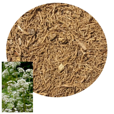 Herbs for burning as incense, use in natural and ritual magic