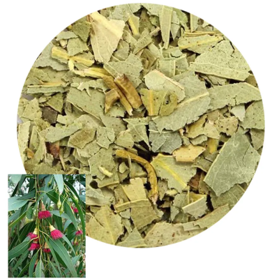 L'Eucalyptus est surtout utilisé dans les rituels de guérison et de protection